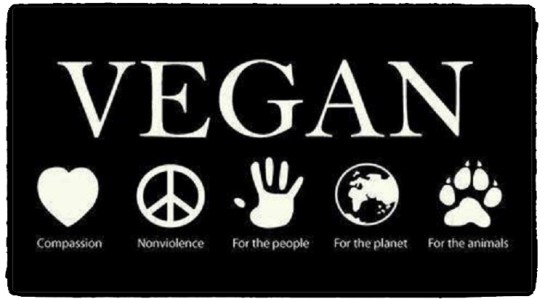 veganblopic1